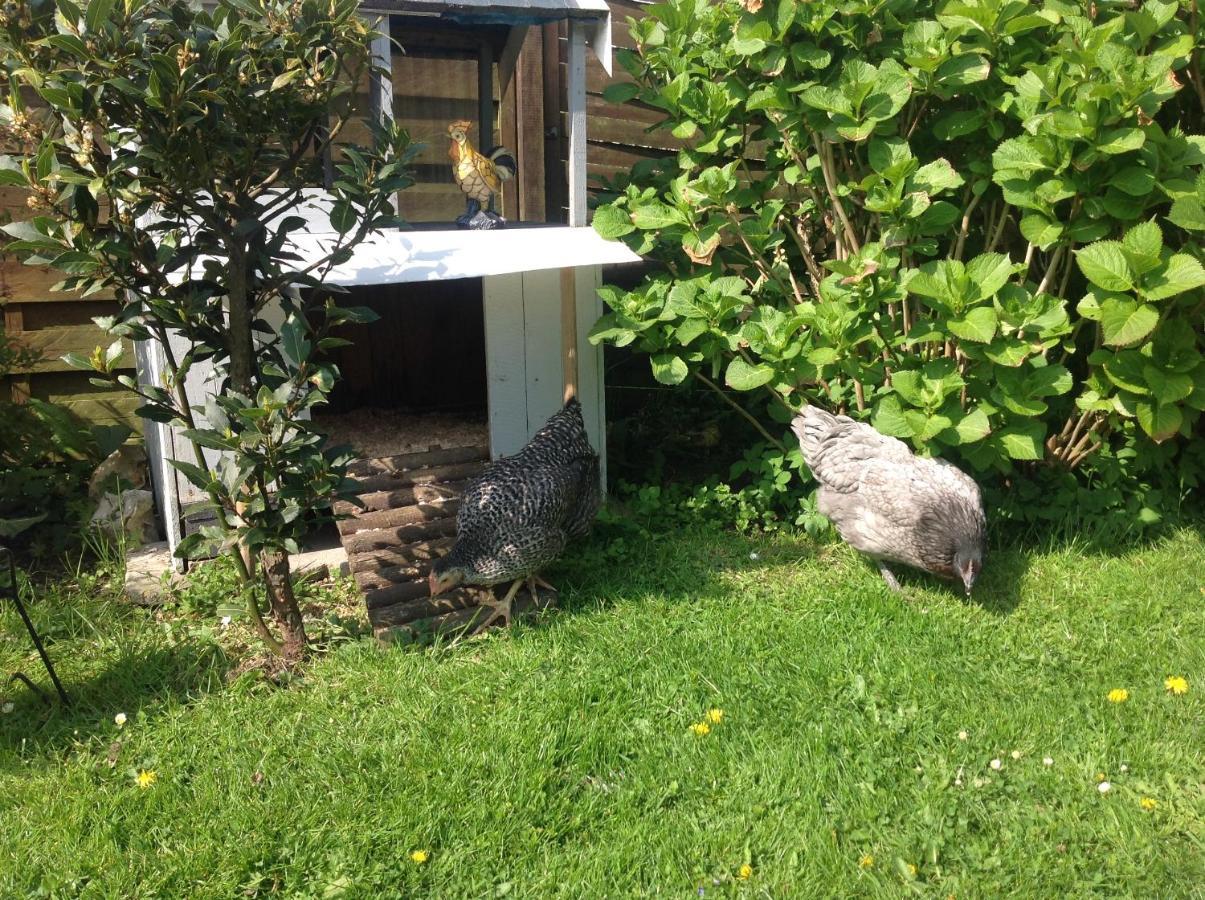 Thiétreville Le Jardin Des Poules B&B 외부 사진